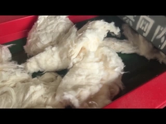 مدل 800F سوراخ صفحه نمایش 6 میلی متری، دستگاه برش پنبه، خردکن دستگاه برش